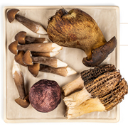 松茸与姬松茸,一字之差竟相差甚远