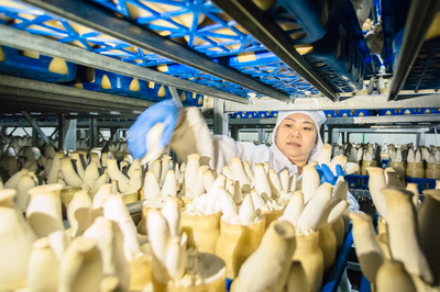 择古堰画乡古街 遇诗情画意莲都_湘湖网_湘湖视界