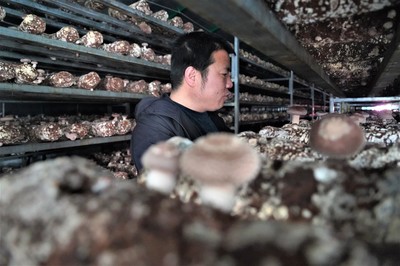 隆德:壮大集体经济造福一方百姓