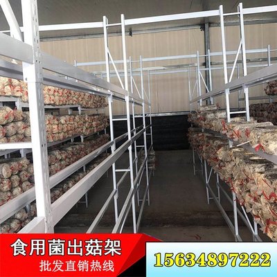 兰州 食用菌层架出菇架 食用菌工厂化出菇架