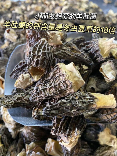 营养价值超高的珍稀食用菌品种 仅39.9秒杀一大袋