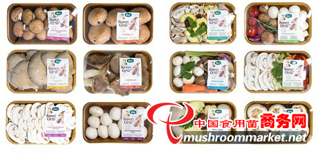 意大利Sipo公司新食用菌系列产品受欢迎