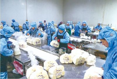 现代化菌业 助力乡村振兴