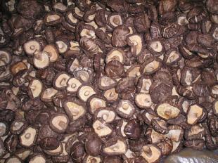 香菇.食用菌.真菌._农副产品_世界工厂网