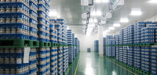 【丽水山耕&middot;莲宝】百兴菇业 魔幻真菌王国