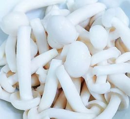 大叔家的菜谱 白玉菇番茄汤,香气扑鼻,鲜酸脆爽,家人爱喝 食用菌类