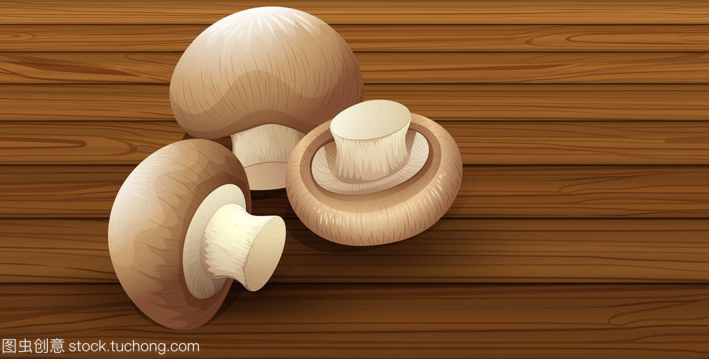 木质背景插图食用菌