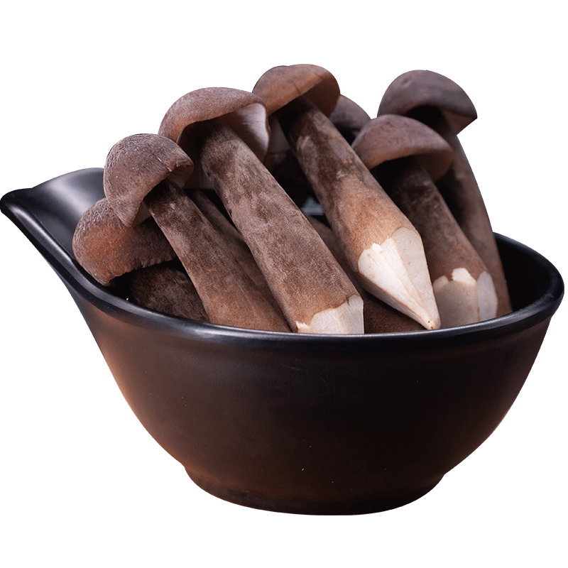 产地直销云南特产黑皮鸡枞菌新鲜鸡枞菌农产品食用菌煲汤食材_菇云网