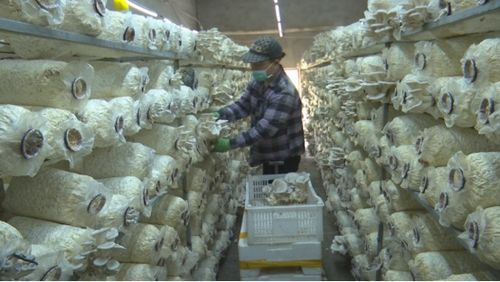 赤峰市元宝山区人民政府