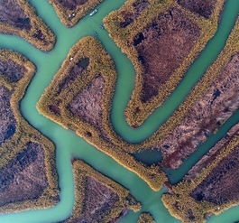 江苏海安 小蘑菇种出大效益