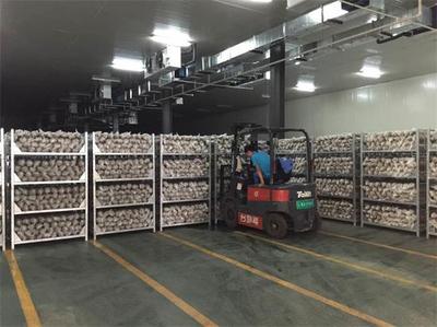 快讯:商务网理事长李玉春一行到内蒙古漠菇生物参观考察_产业资讯_食用菌新闻_中国食用菌商务网