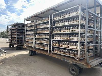 连云港灌南:食用菌全产业链 为乡村振兴蓄能