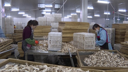 甘州企业蓄势待发 冲刺一季度&ldquo;开门红&rdquo;