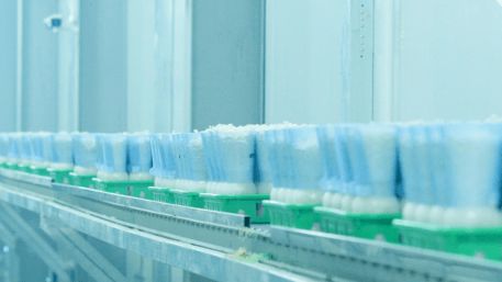 冠惠白玉菇 蟹味菇 鲜爽脆嫩 清甜可口 鲜香四溢,一口梦回自然