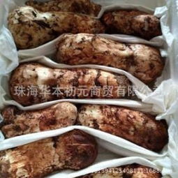 初元熟酸奶饮品及食用菌的价格分析与市场概况