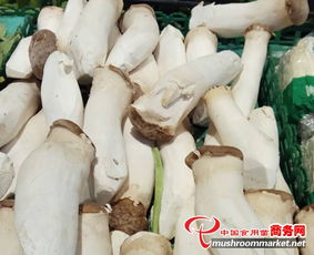 北京春节晚宴上，食用菌产品成必备佳肴