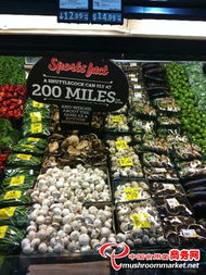 探秘新西兰超市 食用菌产品的整齐排列与品质魅力