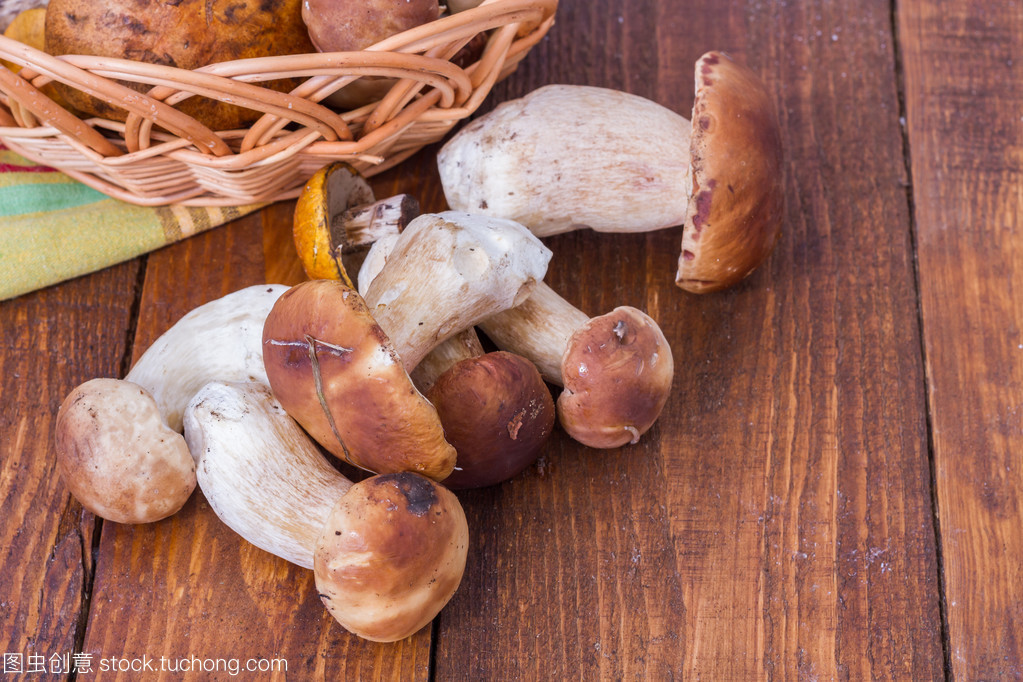 探秘野生食用菌 自然馈赠的珍馐