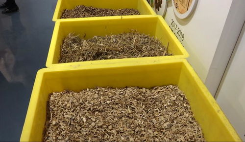 勇闯大上海，永泰人的菌菇王国崛起之路